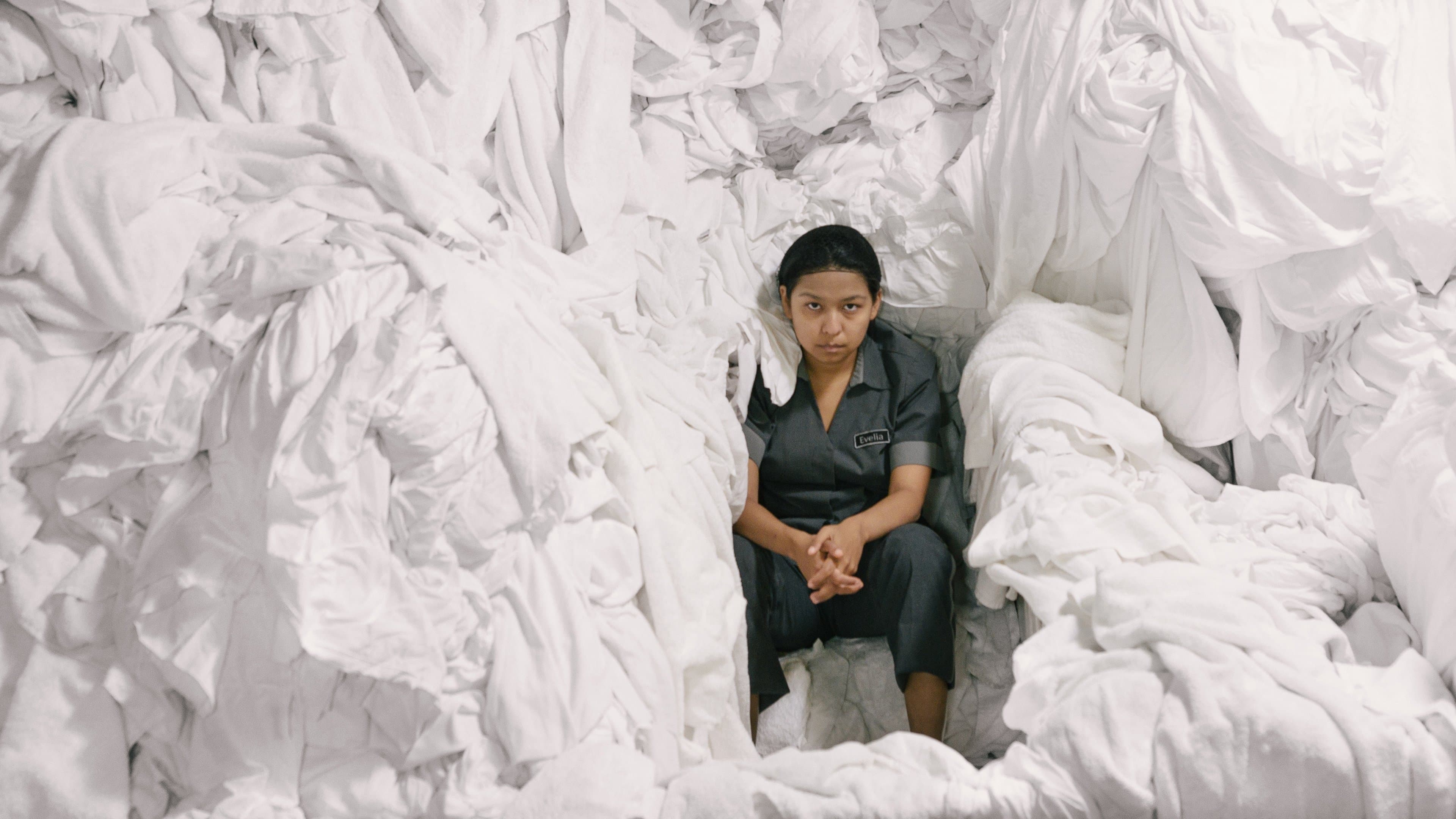 Poster backdrop for The Chambermaid