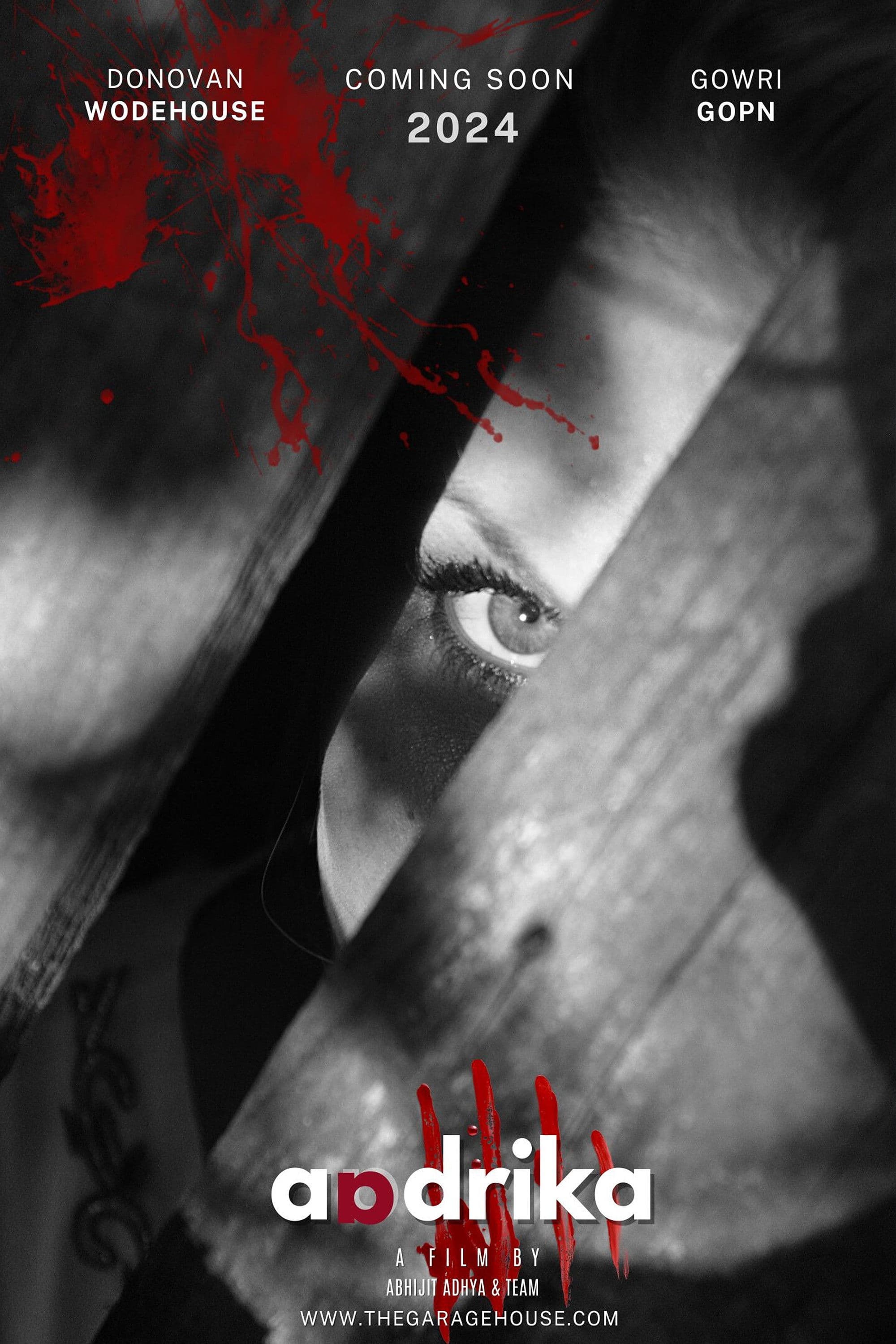 Poster backdrop for Aadrika