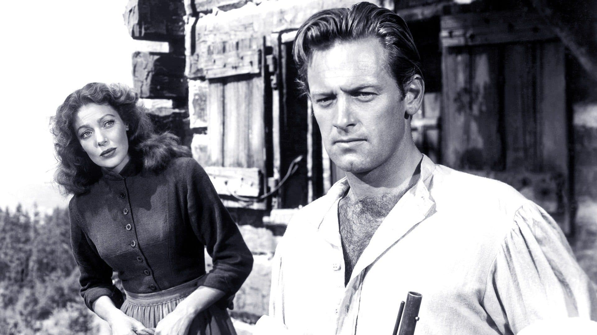 Poster backdrop for Rachel and the Stranger