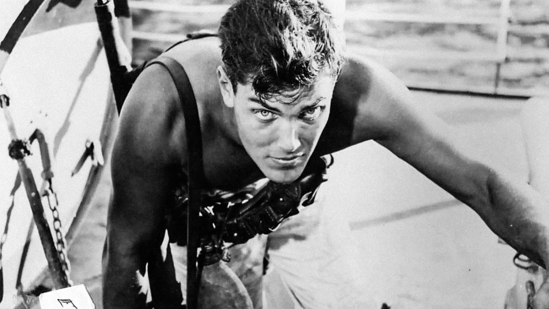 Poster backdrop for Sailor of the King