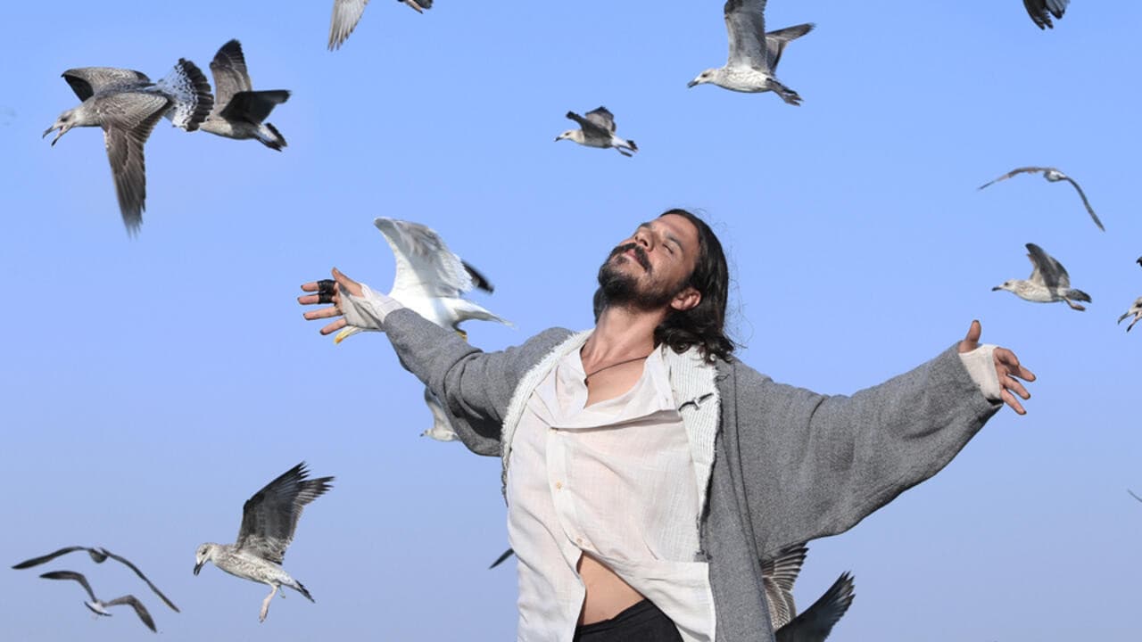 Poster backdrop for The Lord of the Seagull