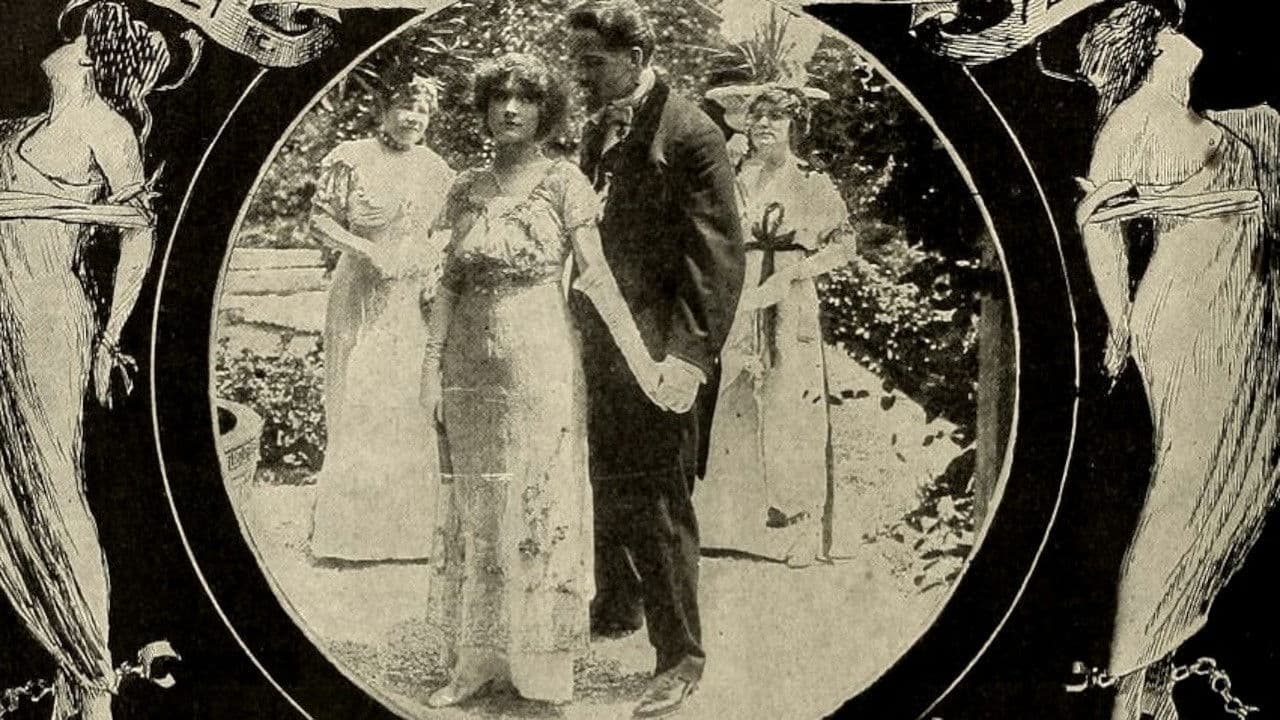 Poster backdrop for Moths