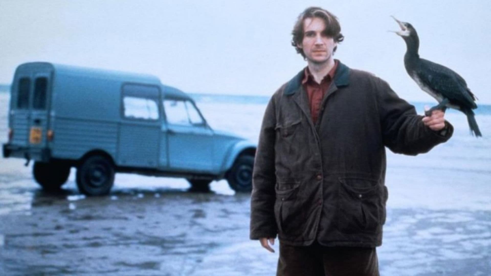 Poster backdrop for The Cormorant