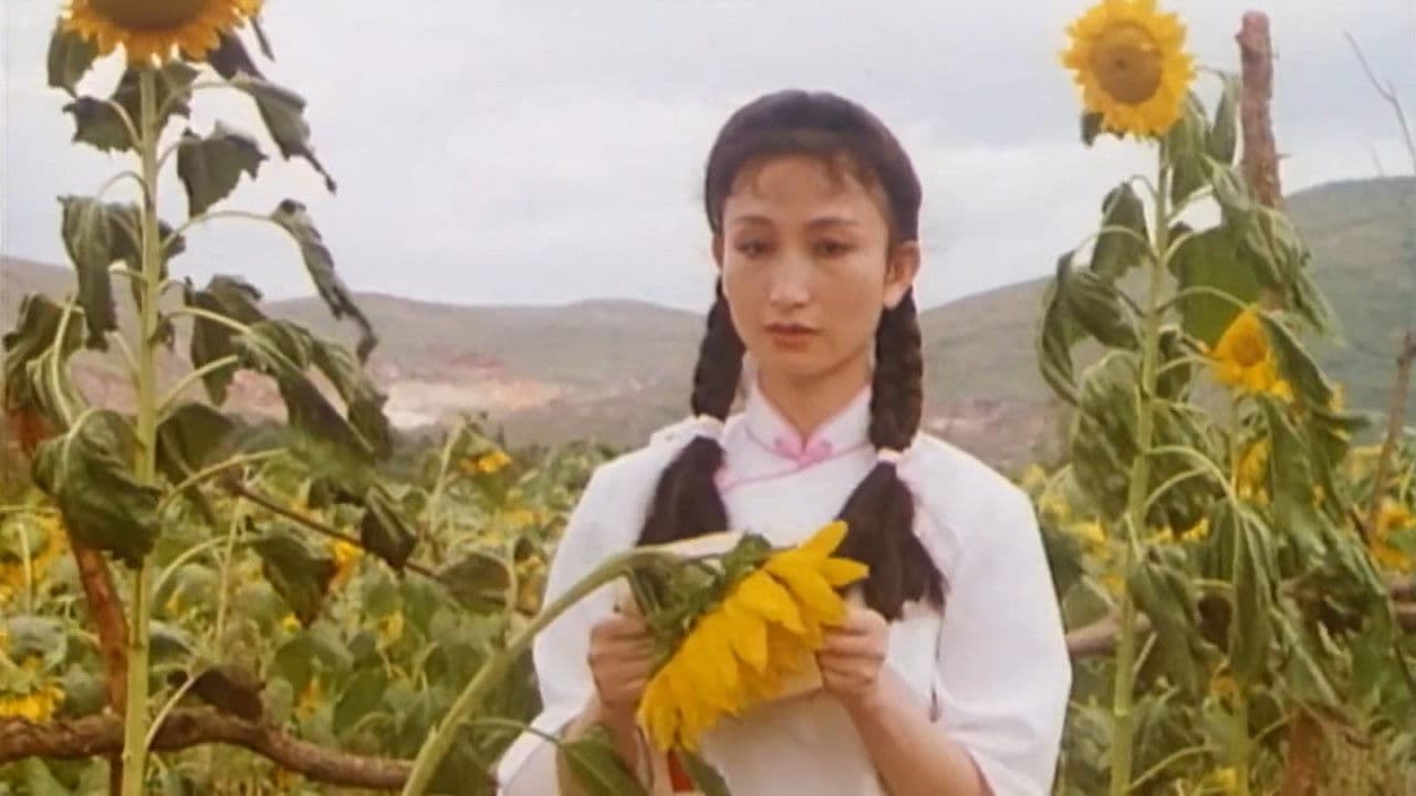 Poster backdrop for Qíngrén de xuè tèbié hóng