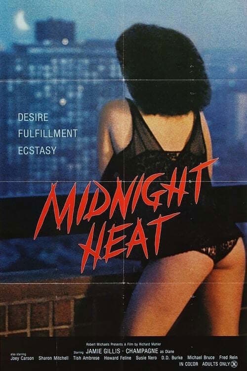 Poster backdrop for Midnight Heat