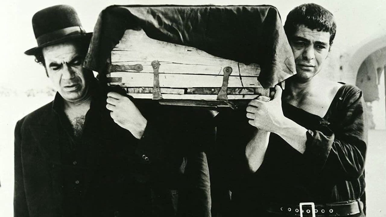 Poster backdrop for The ring-necked dove