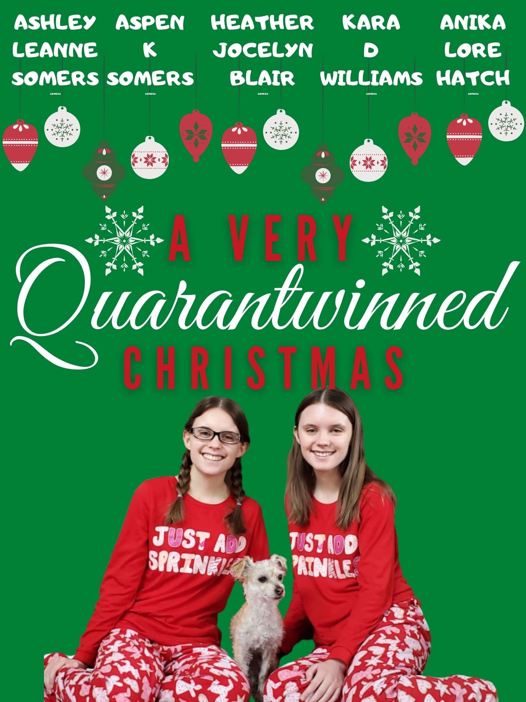 Poster backdrop for A Very Quarantwinned Christmas