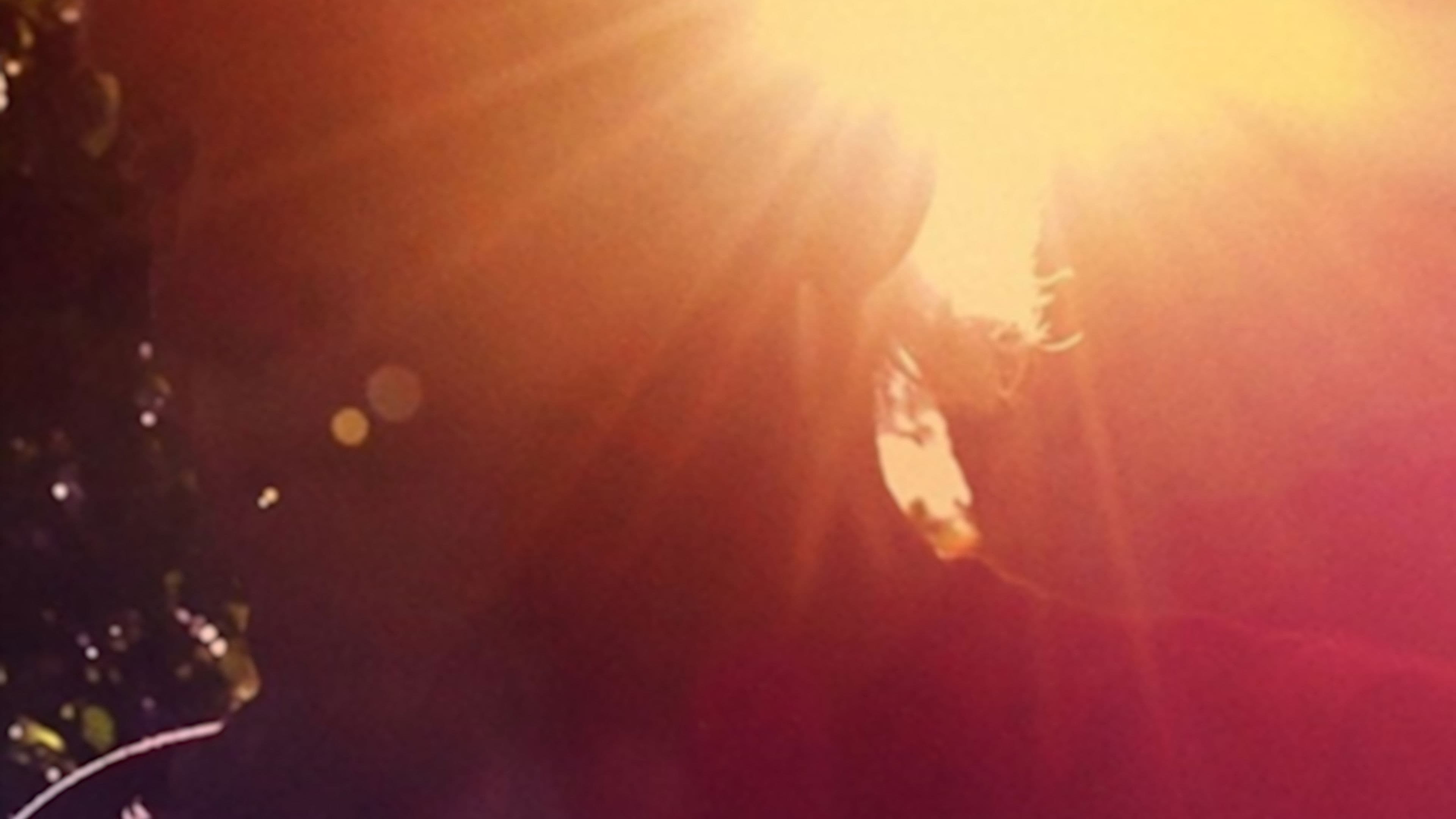 Poster backdrop for Ram Dass, Going Home