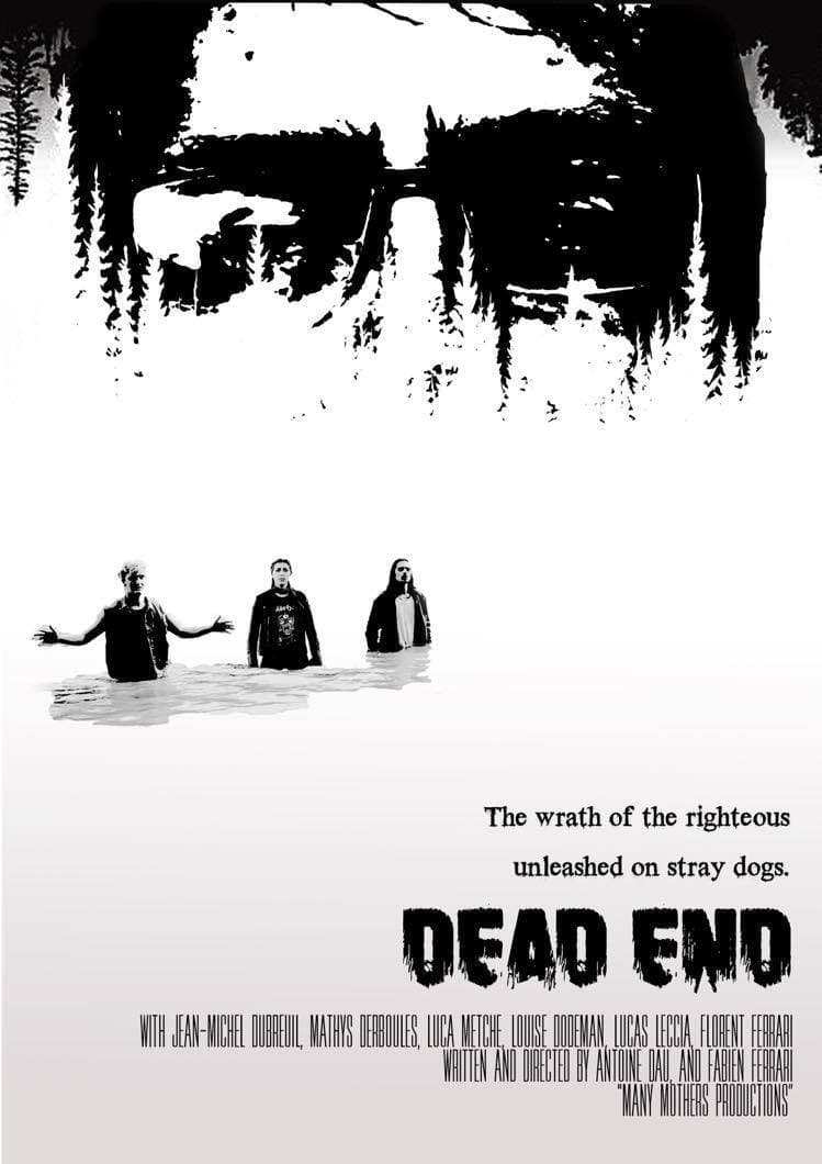 Poster backdrop for Les Dingues et les Paumés