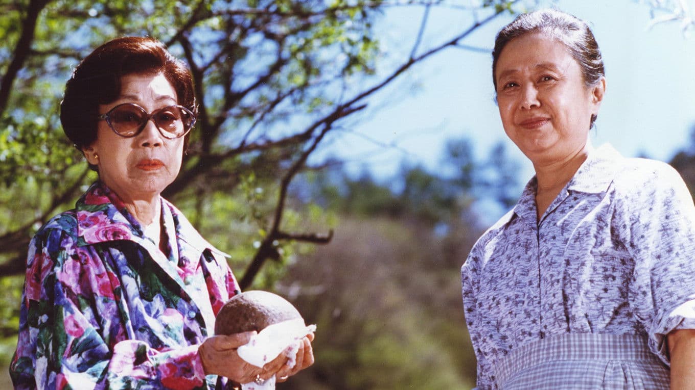 Poster backdrop for A Last Note