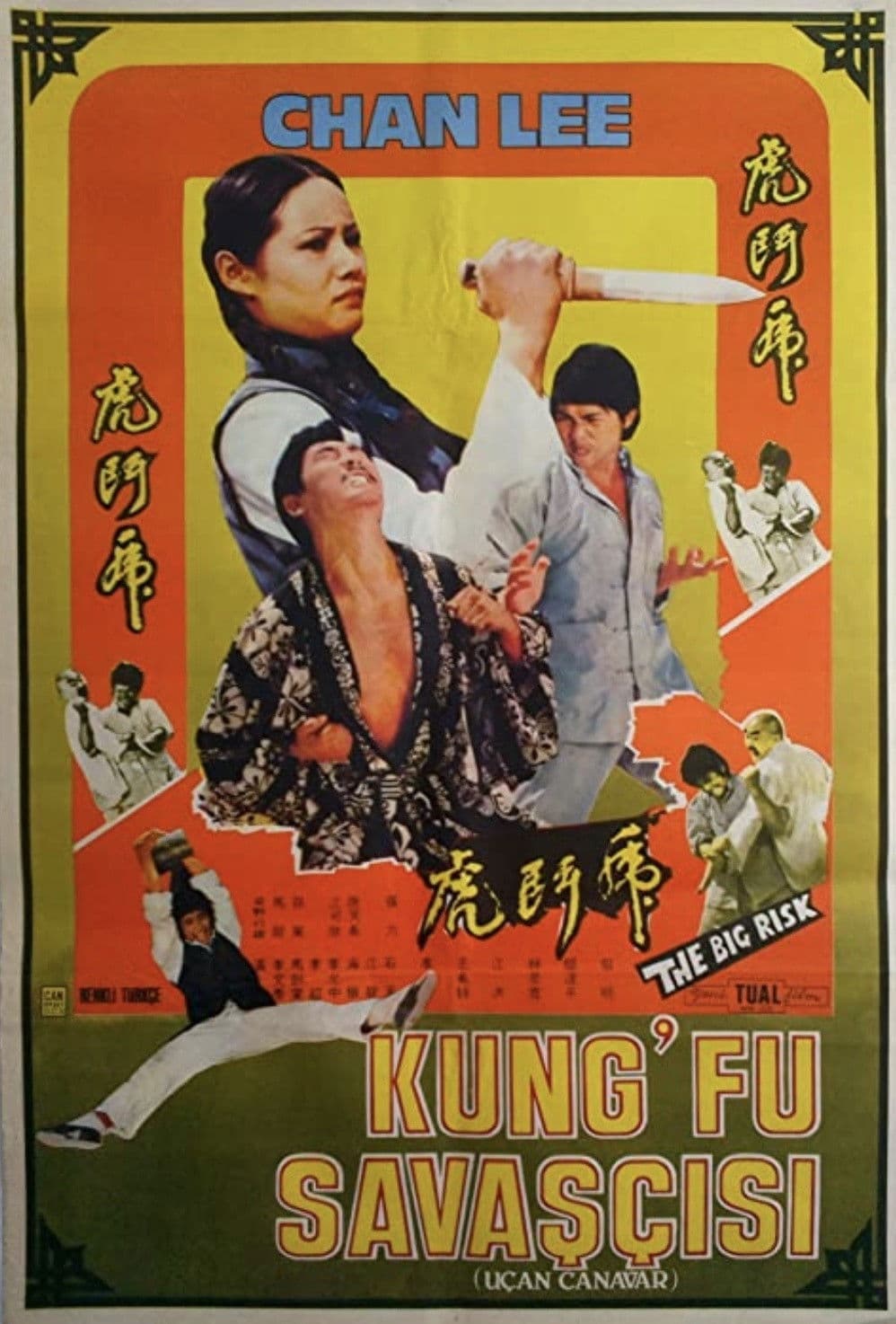 Poster backdrop for Kung Fu Conspiracy