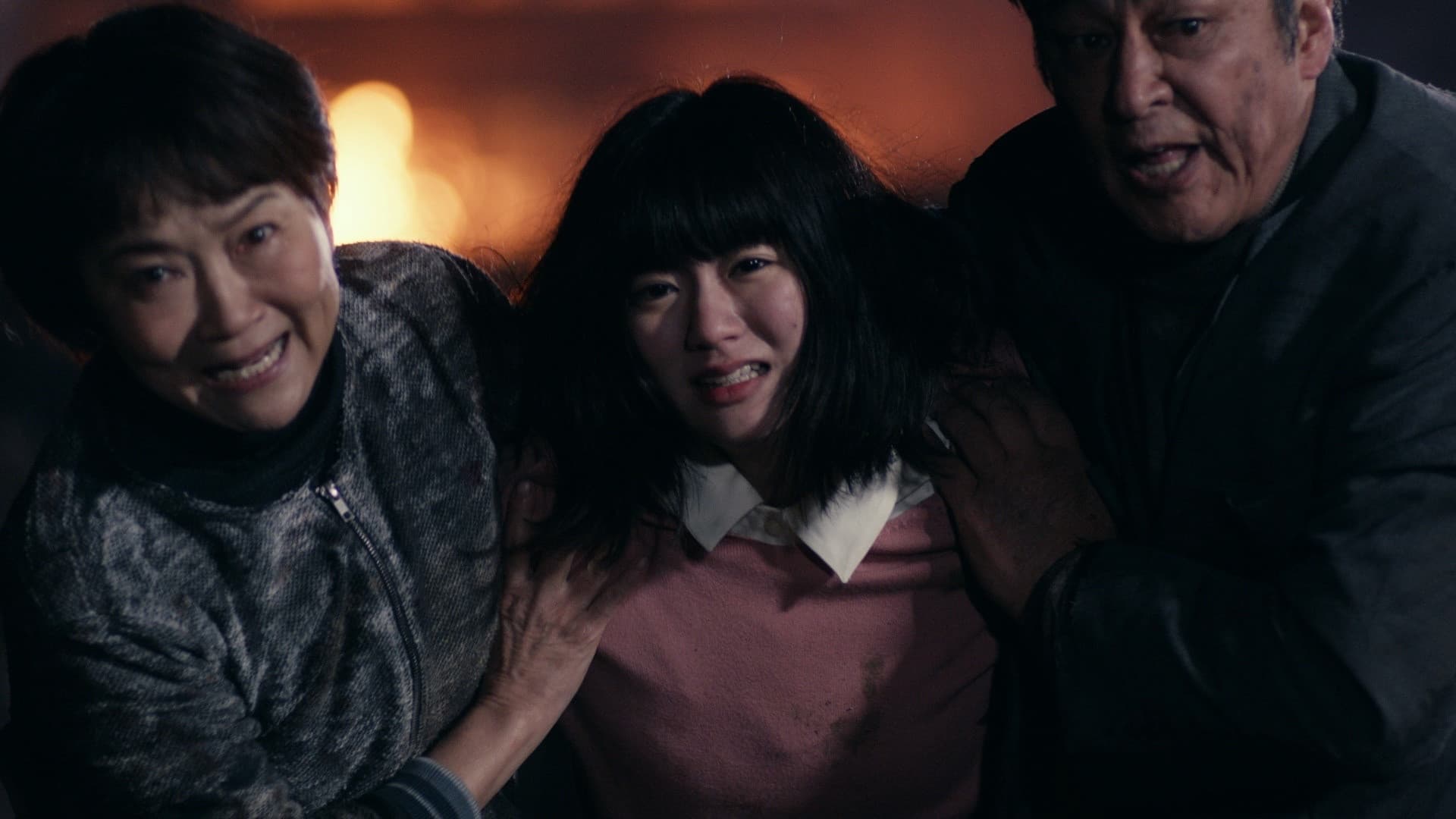 Poster backdrop for The Pledge to Megumi