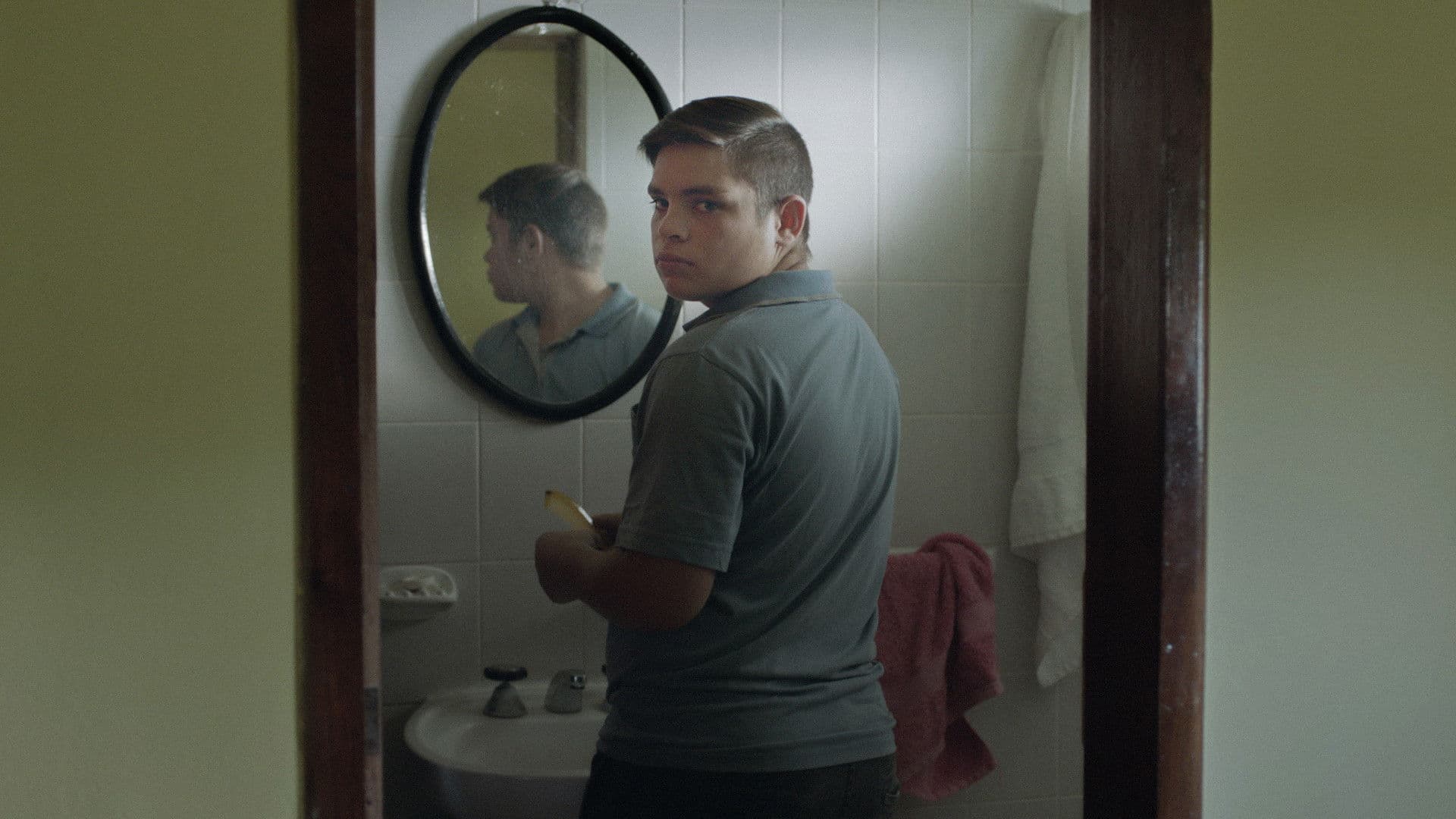 Poster backdrop for We Will Never Die