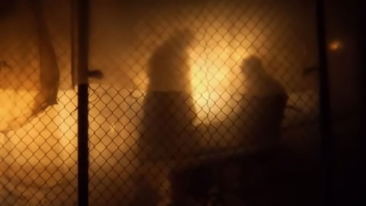 Poster backdrop for Last Breath