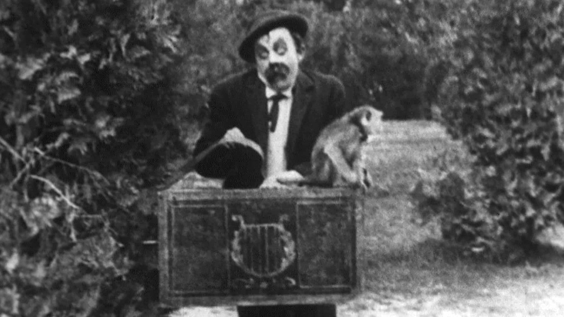 Poster backdrop for Do-Re-Mi-Boom!