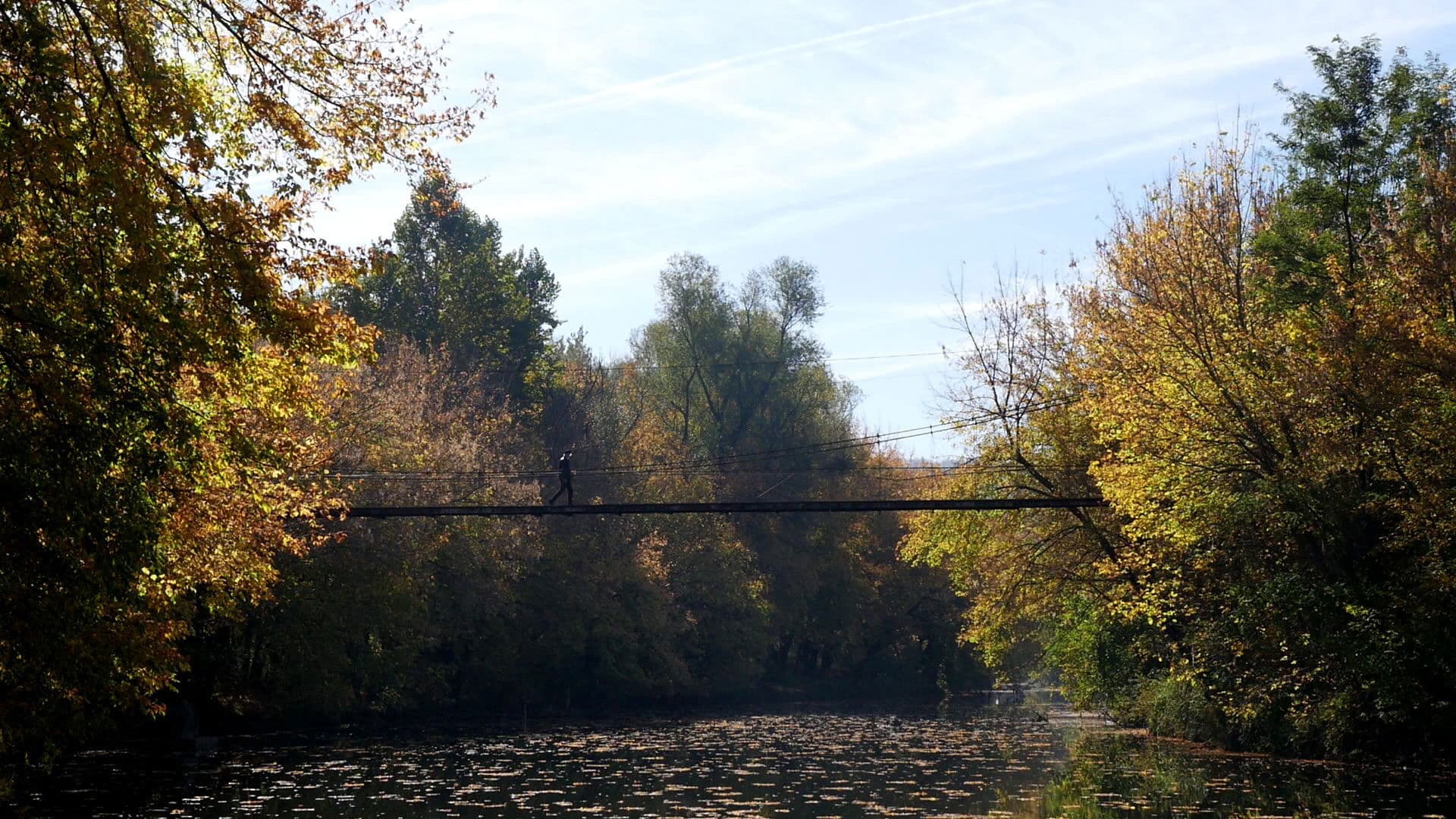 Poster backdrop for Bogre. The Great European Heresy