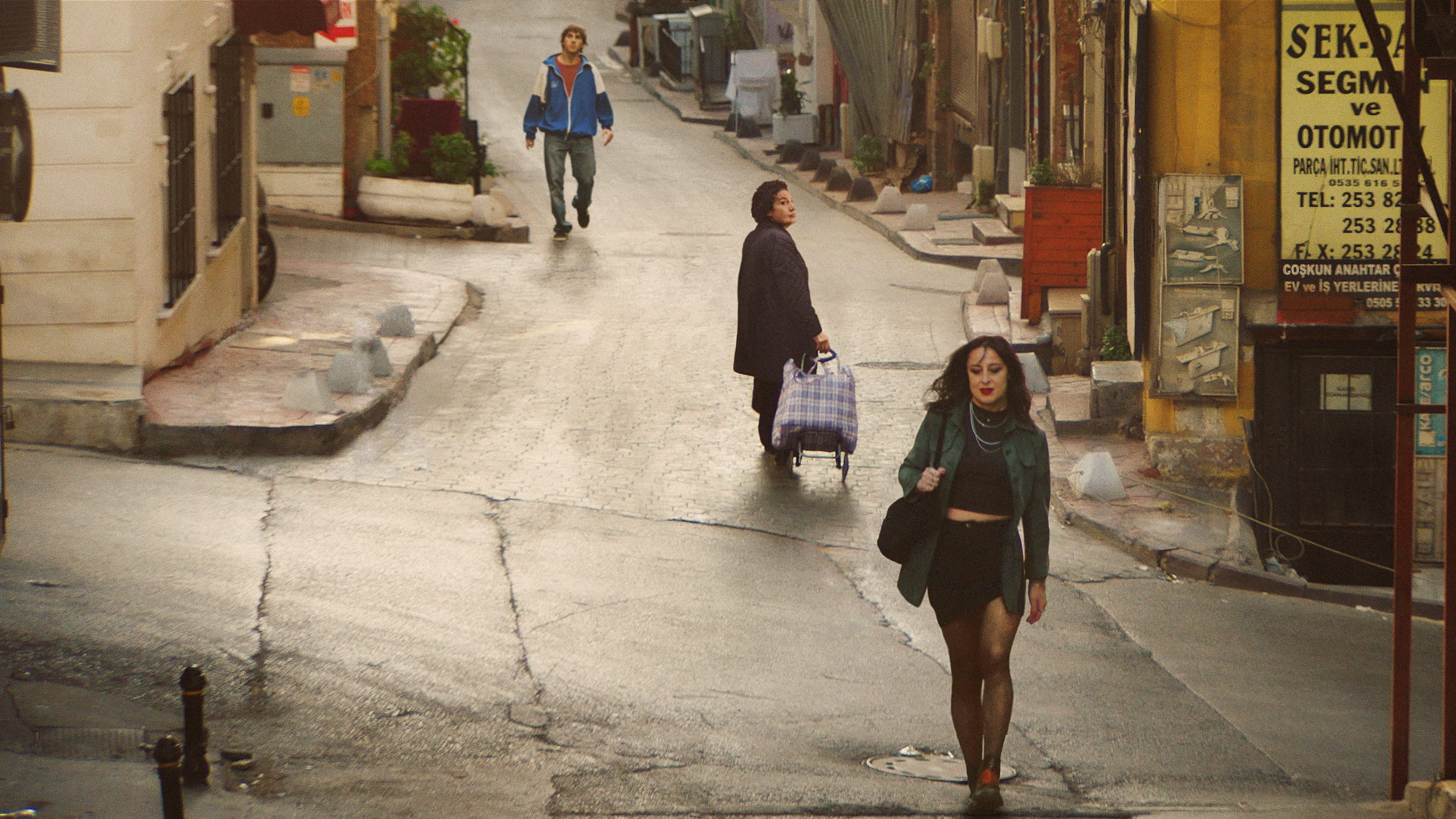 Poster backdrop for Crossing