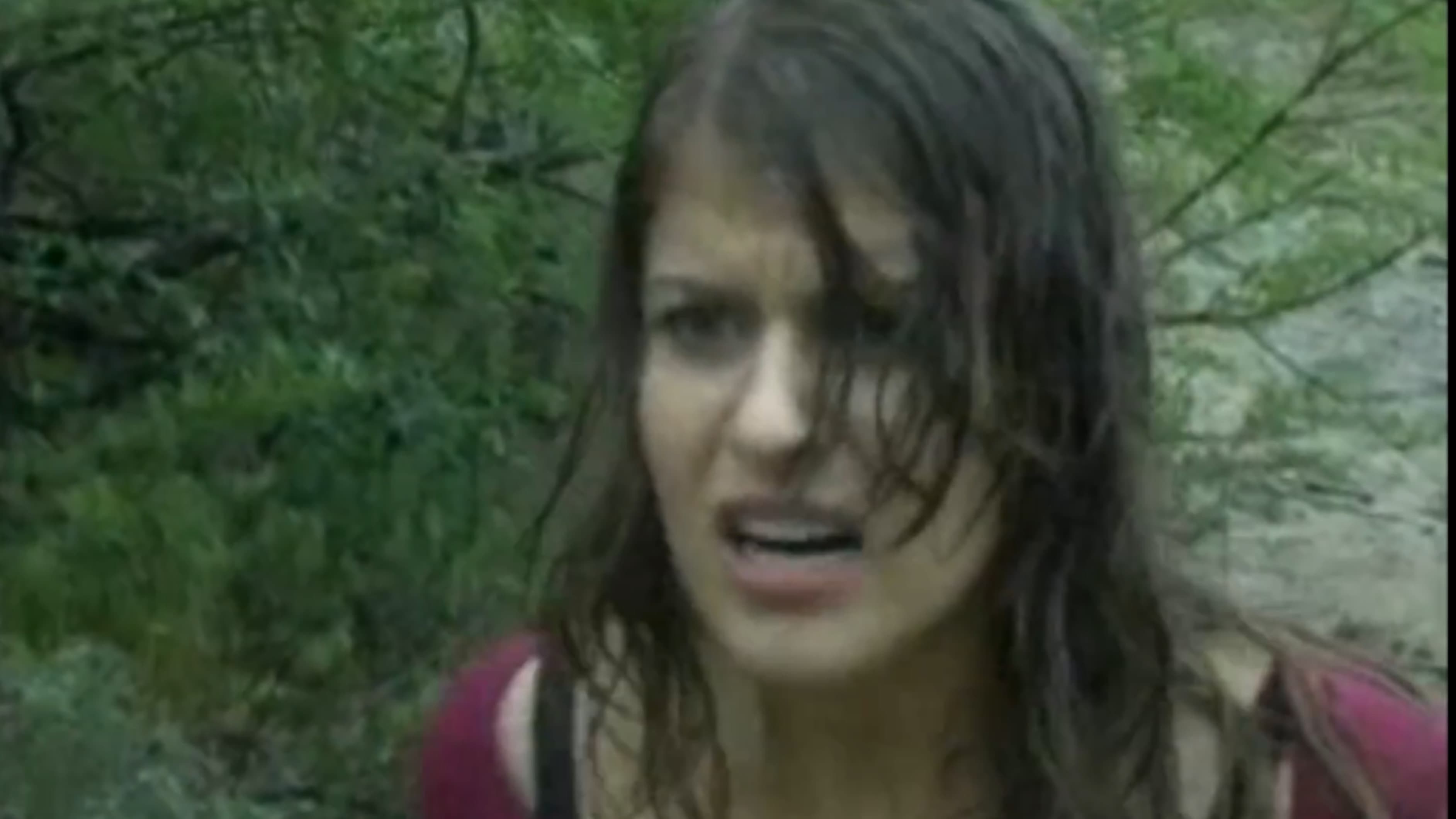 Poster backdrop for Within the Woods