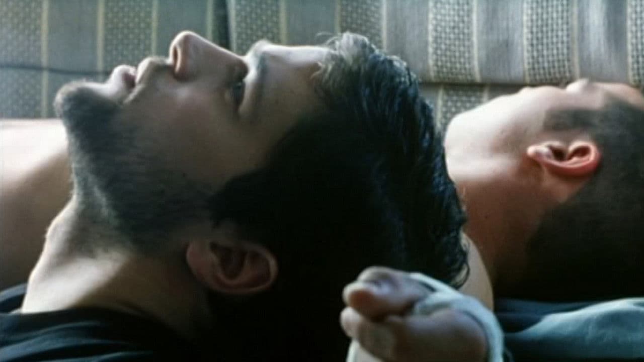 Poster backdrop for Kissing Tigers