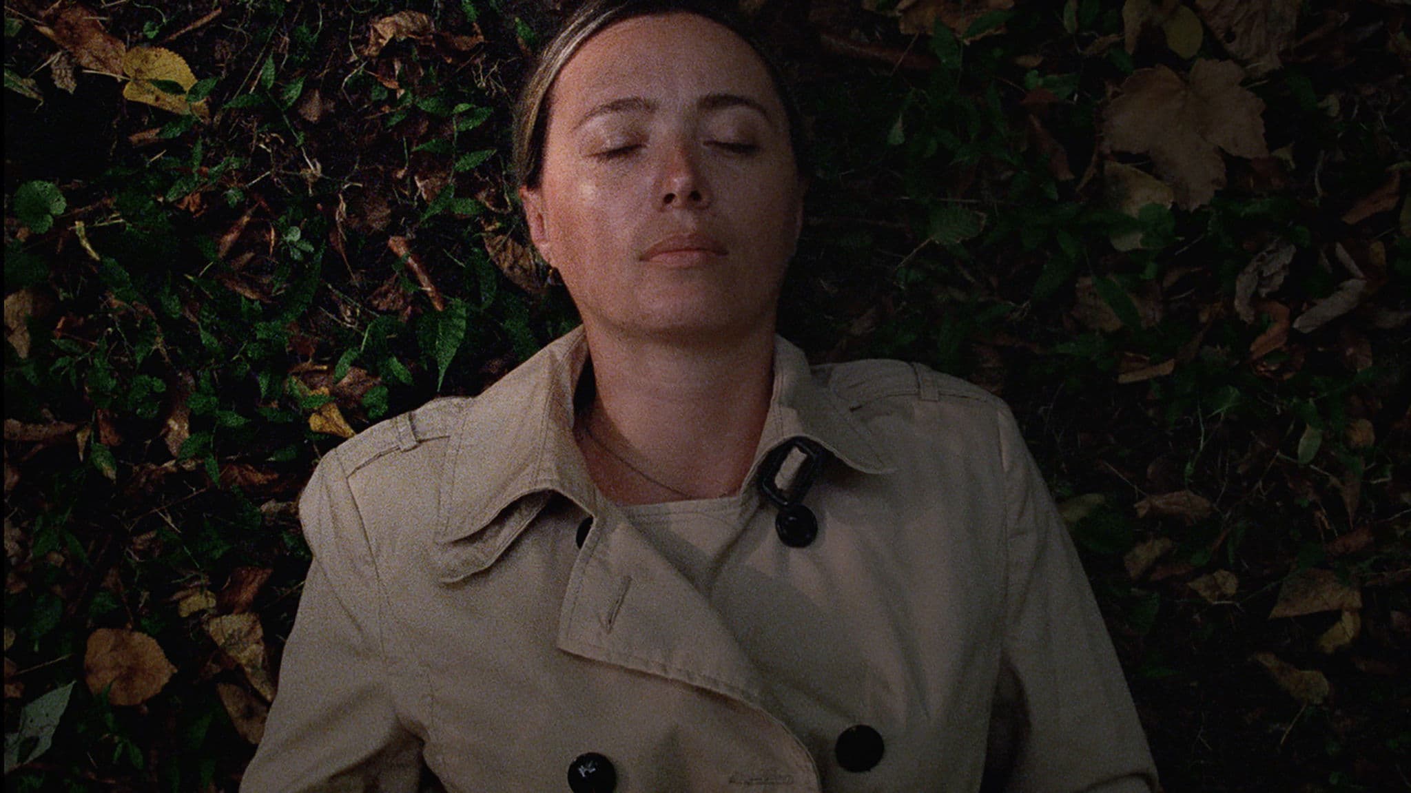 Poster backdrop for Beginning