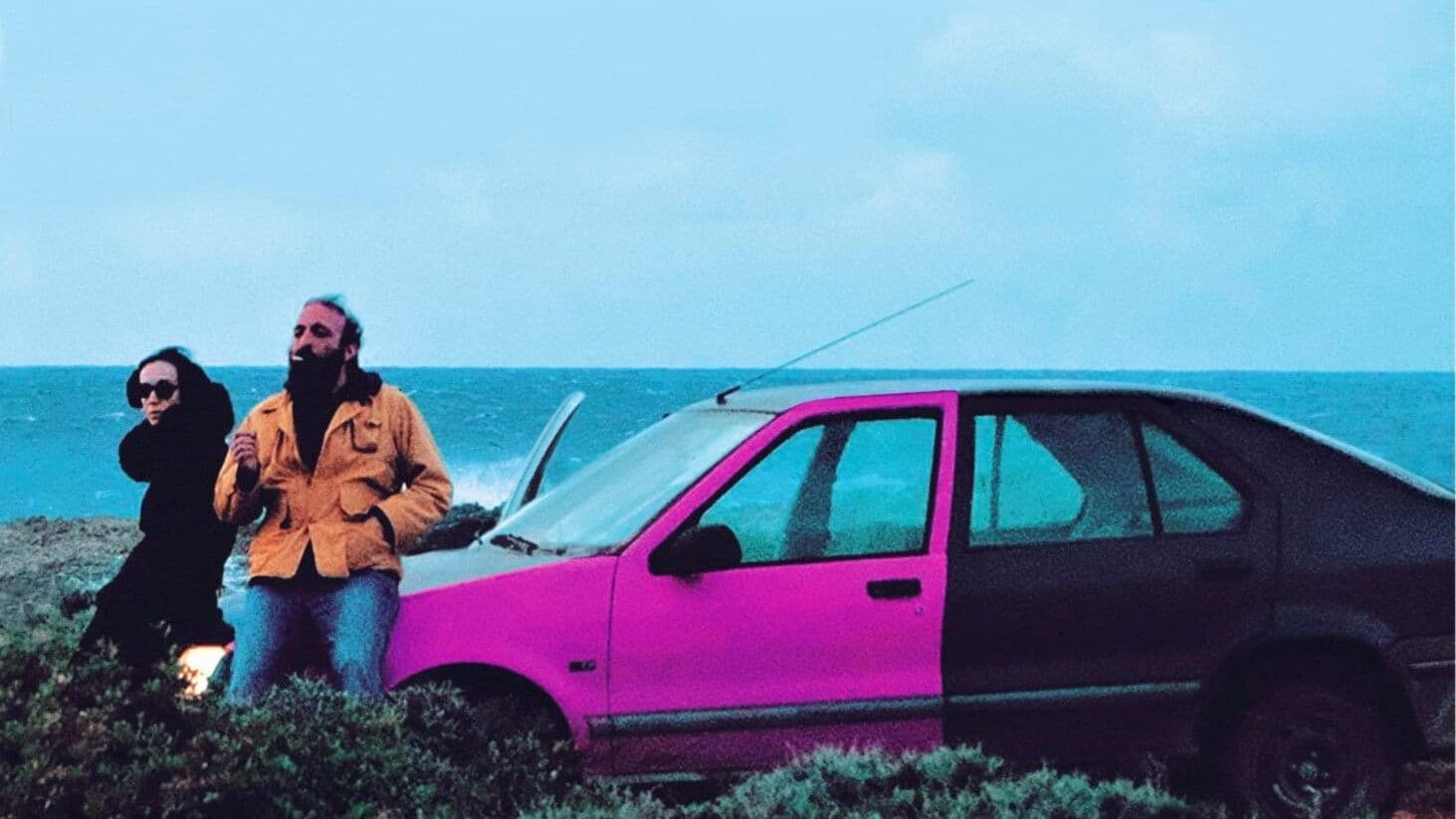 Poster backdrop for Magnetic Fields