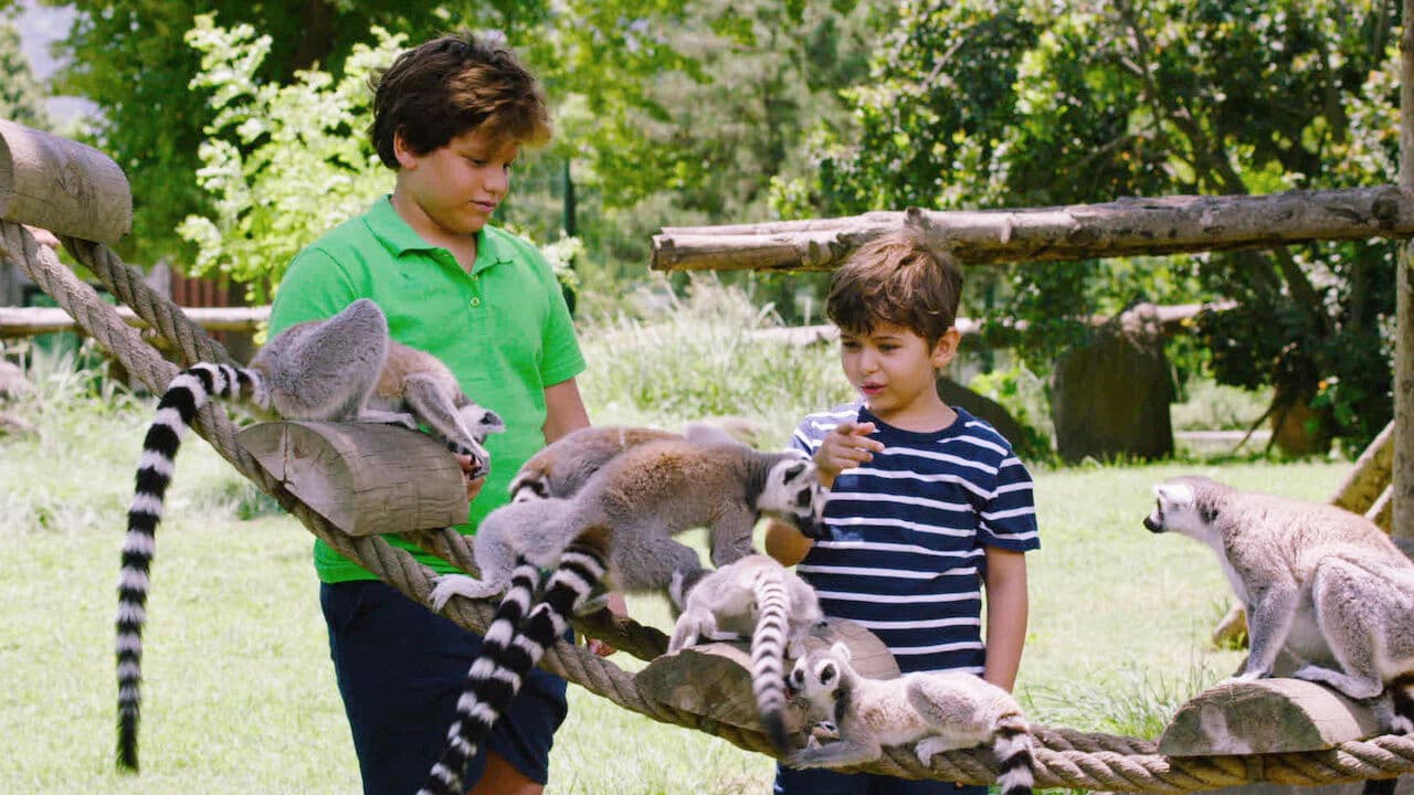 Poster backdrop for Talking Animals