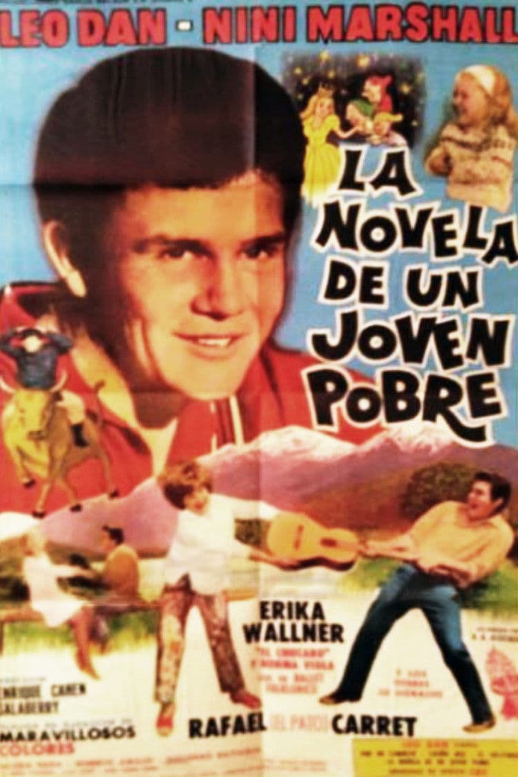 Poster backdrop for The novel of a poor young man