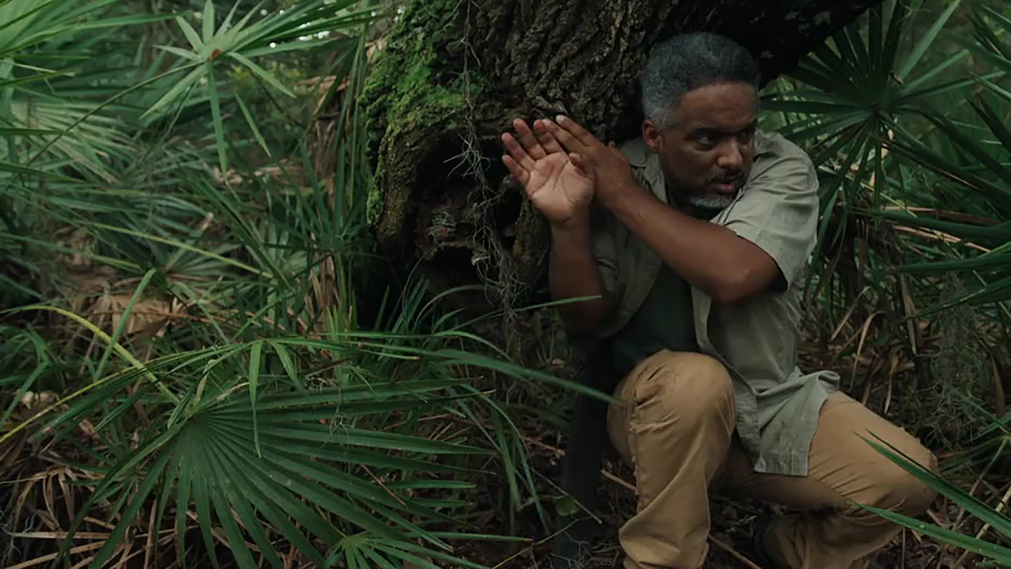 Poster backdrop for Megaboa