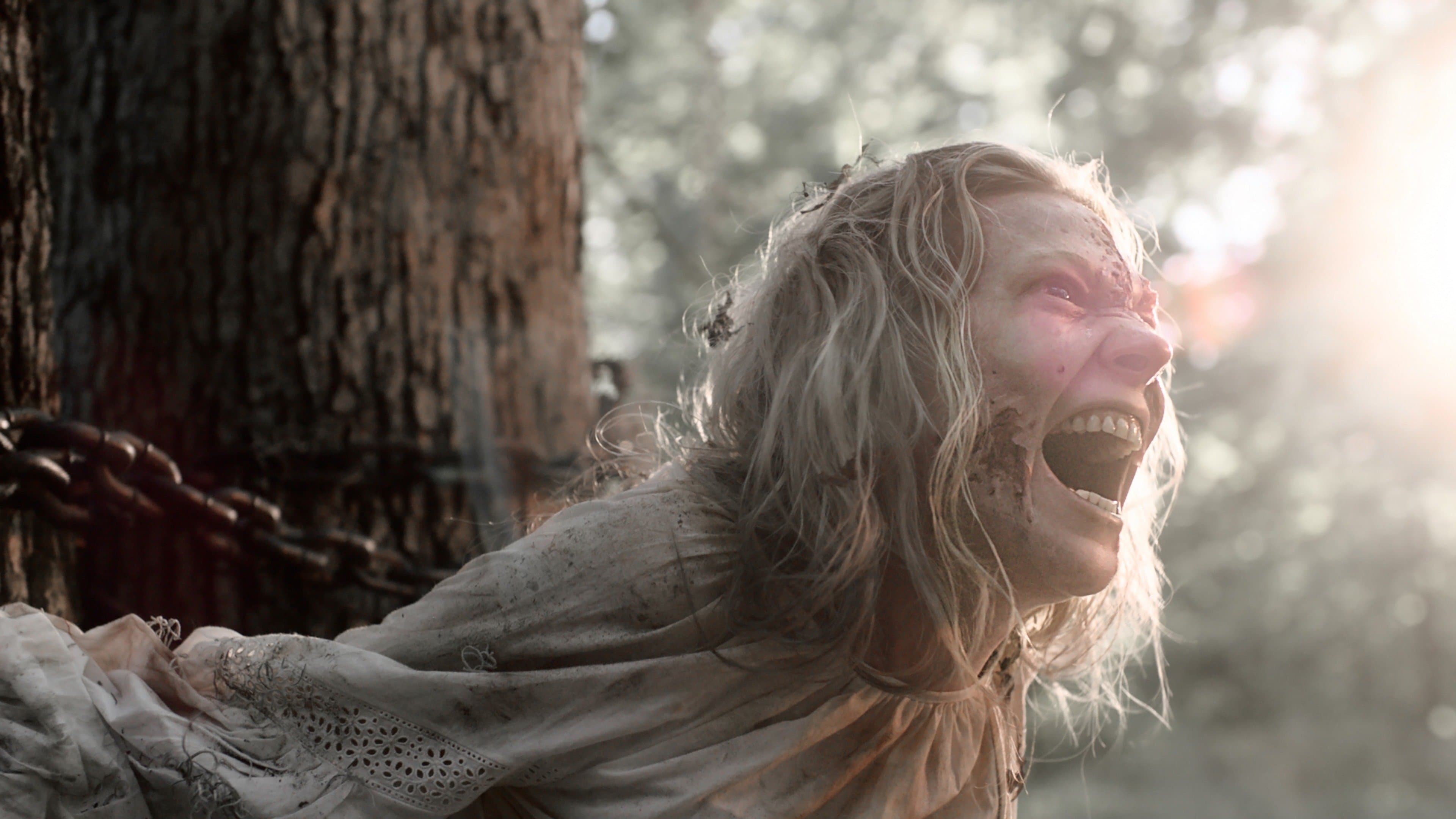 Poster backdrop for Along Came the Devil II