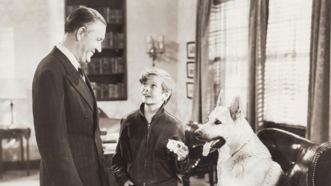 Poster backdrop for Adventures of Rusty