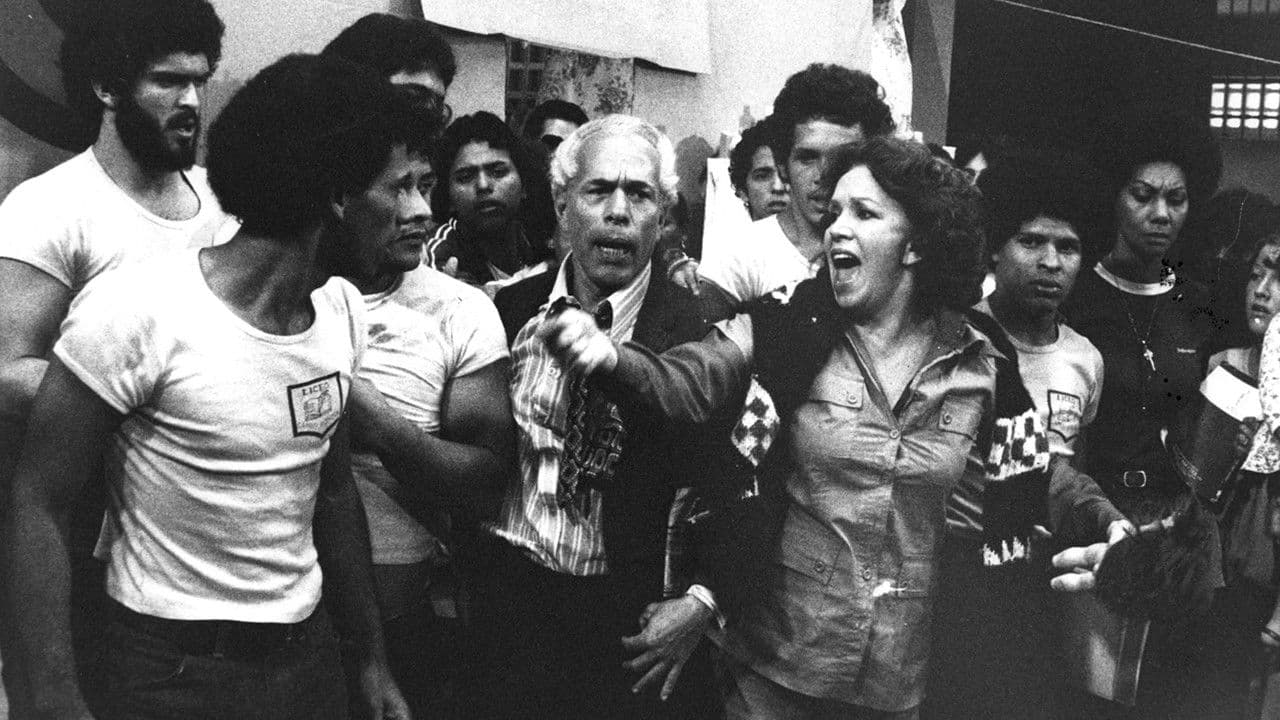 Poster backdrop for The Flock of Angels