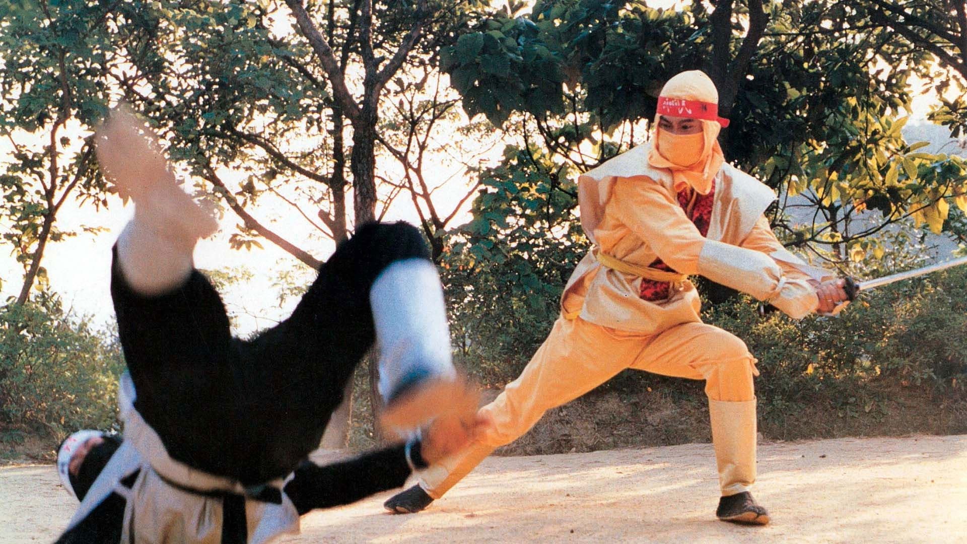 Poster backdrop for Ninja Operation 5 - Godfather The Master