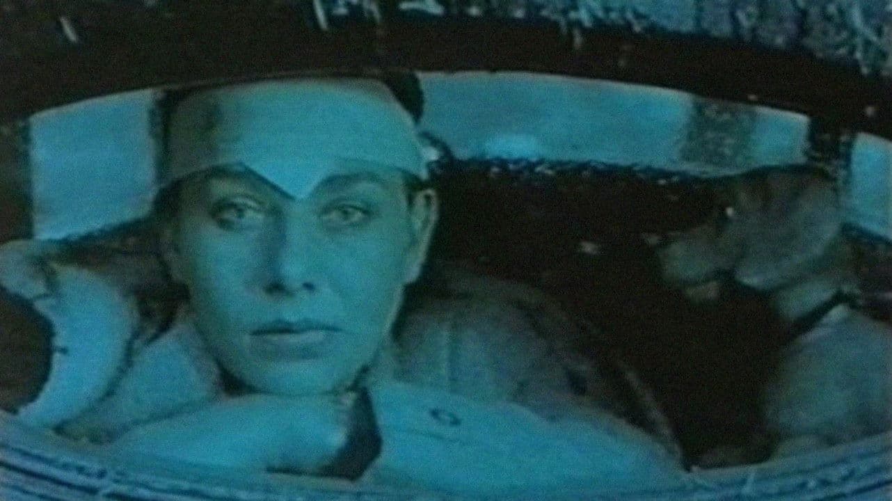 Poster backdrop for Images of Liberation