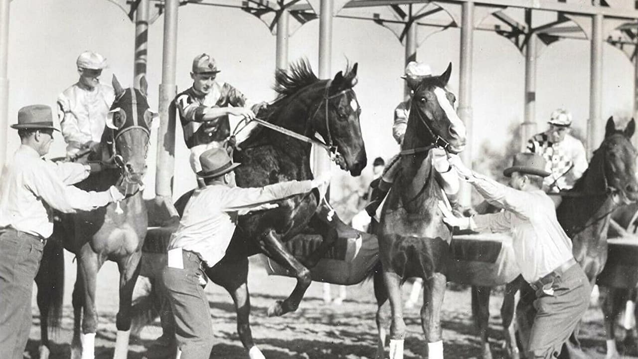 Poster backdrop for The Lady's from Kentucky