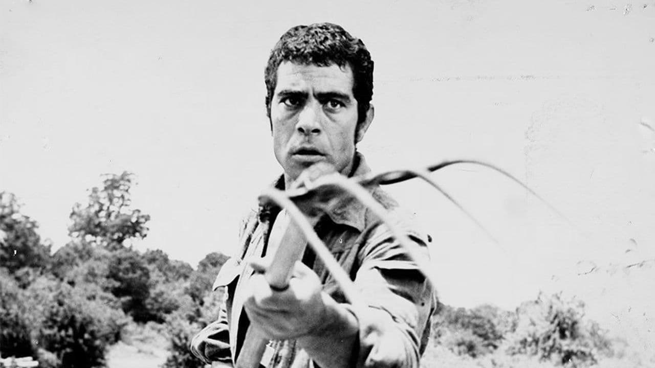 Poster backdrop for Rashid