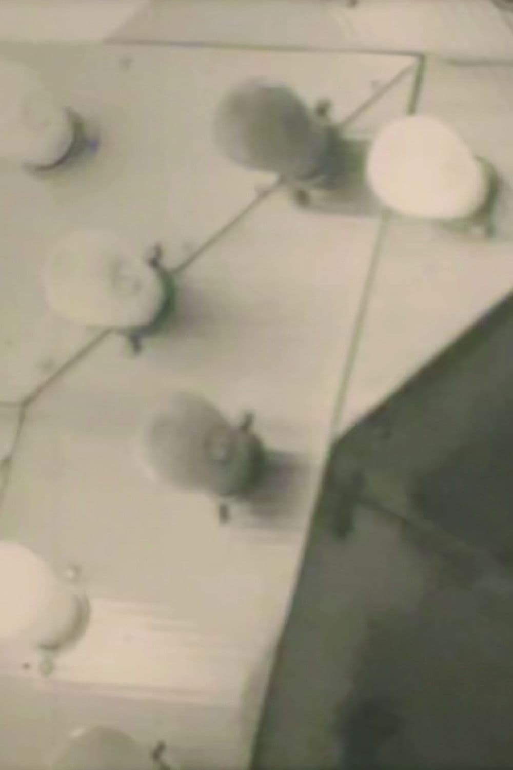 Poster backdrop for Notes on the Buffalo Conference: “Autobiography in American Independent Cinema”