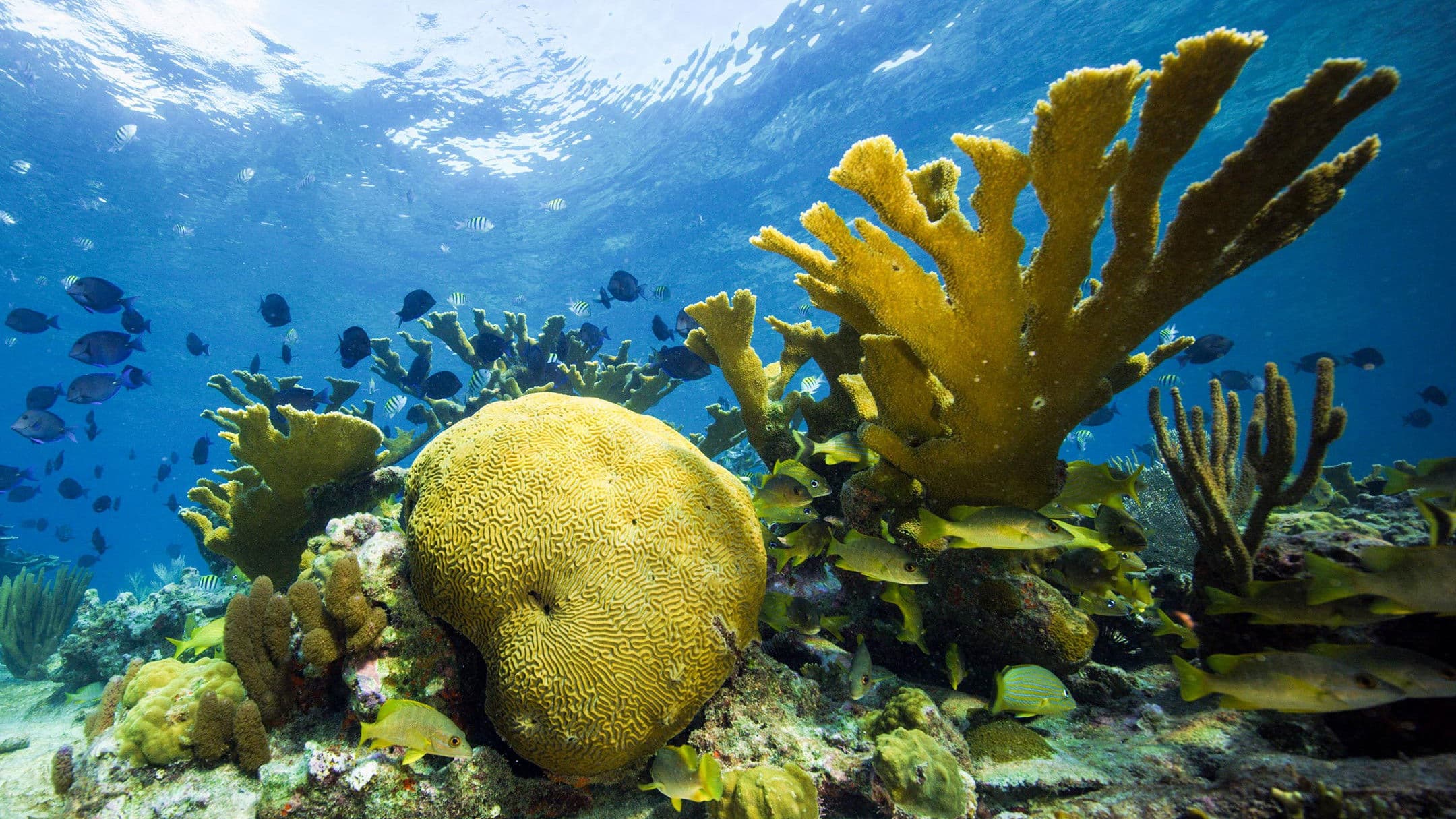 Poster backdrop for Cuba