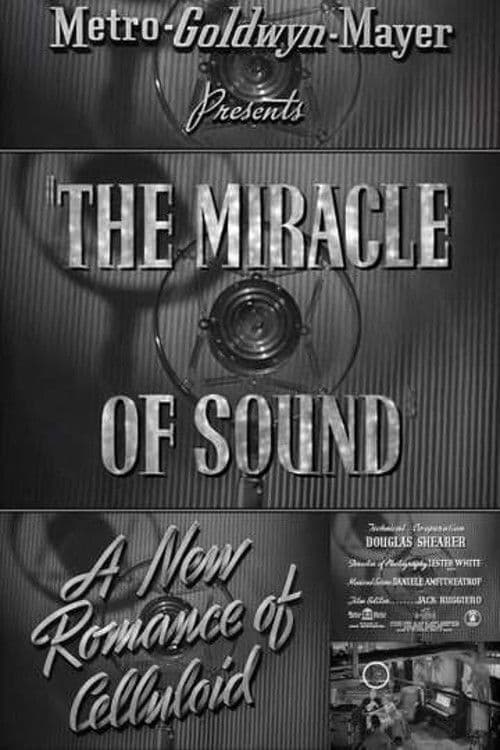 Poster backdrop for A New Romance of Celluloid: The Miracle of Sound