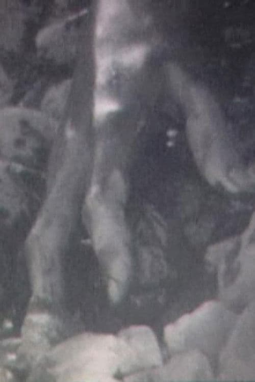 Poster backdrop for Broken Flesh Ecstasy