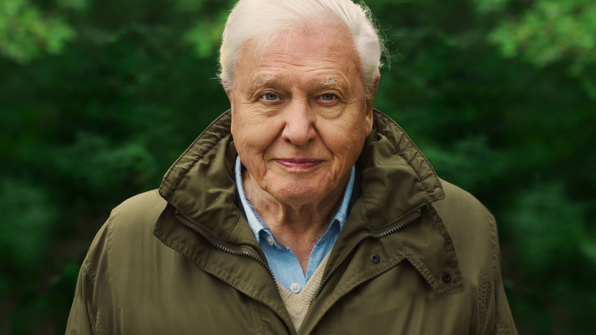 Poster backdrop for David Attenborough: A Life on Our Planet