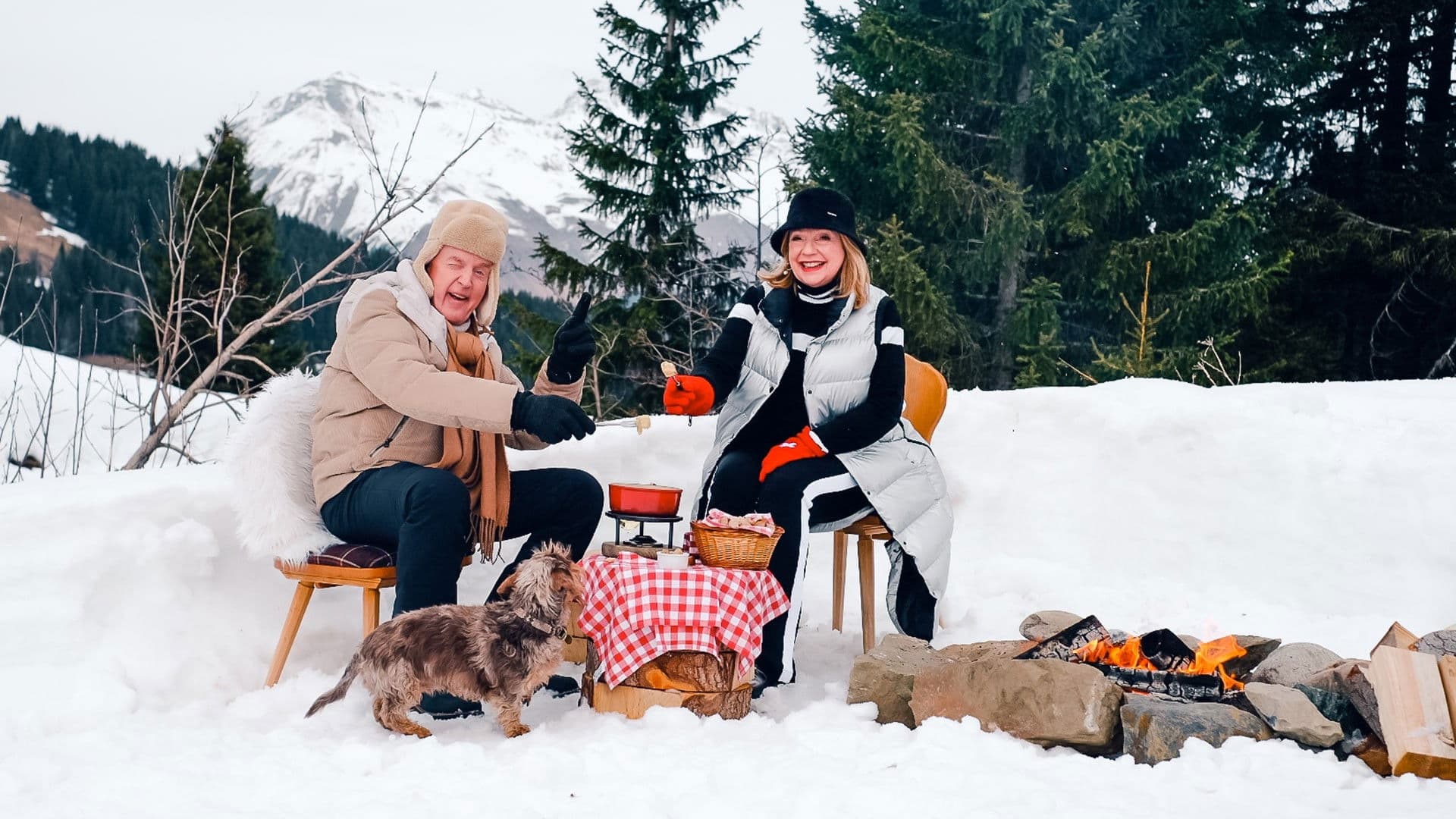 Poster backdrop for Denkend aan Zwitserland