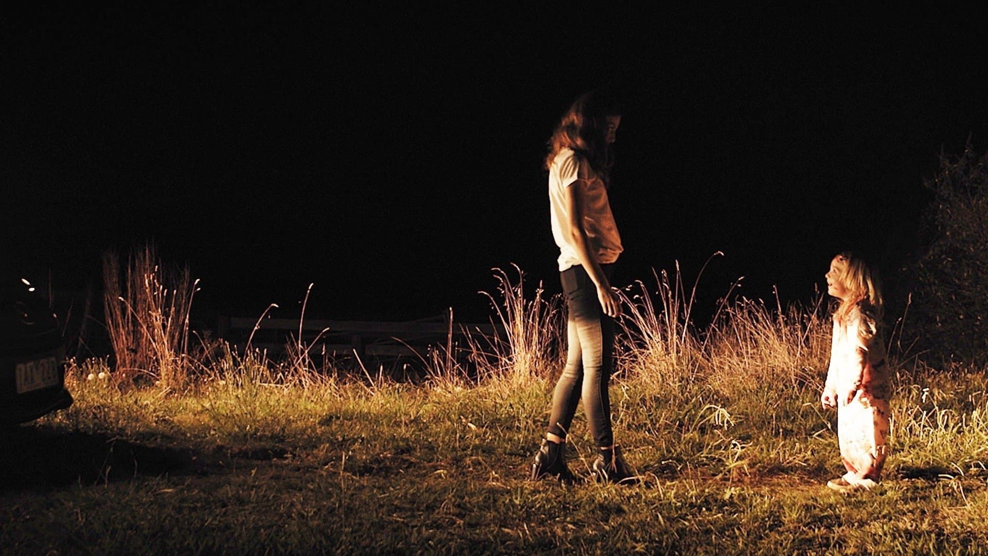 Poster backdrop for Apparitions