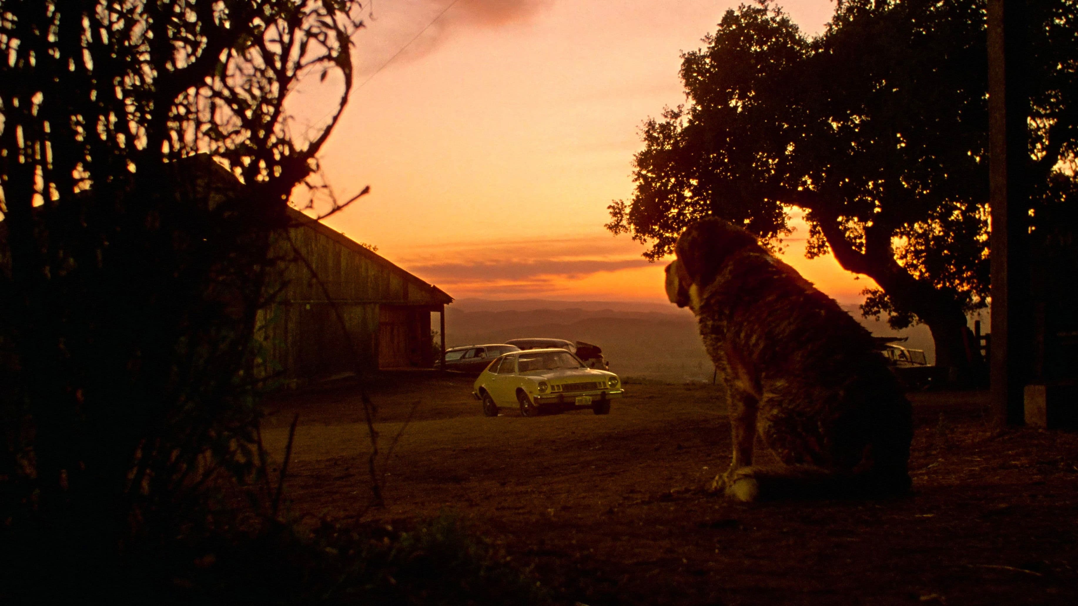 Poster backdrop for Cujo