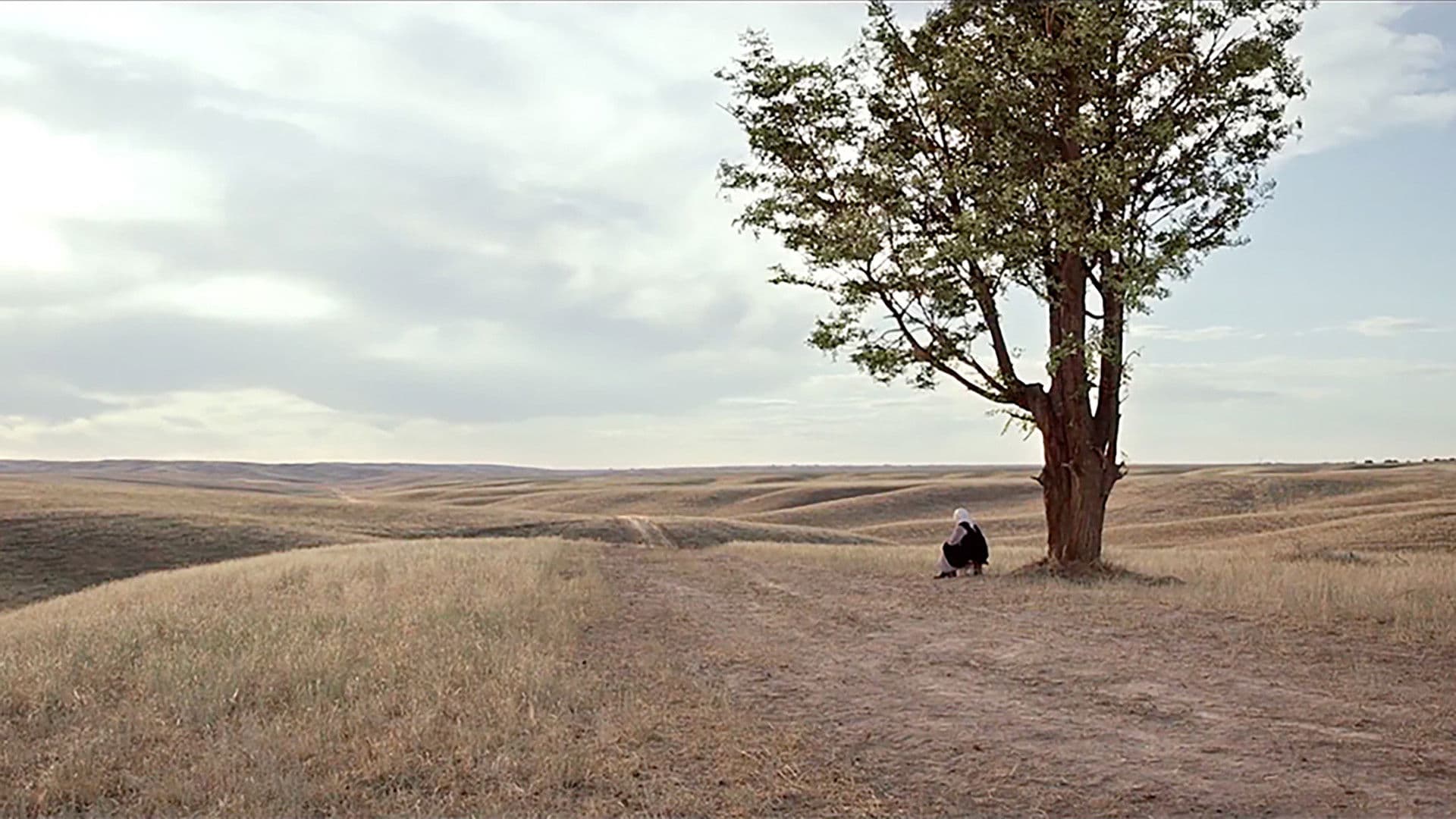 Poster backdrop for The Road to Mother