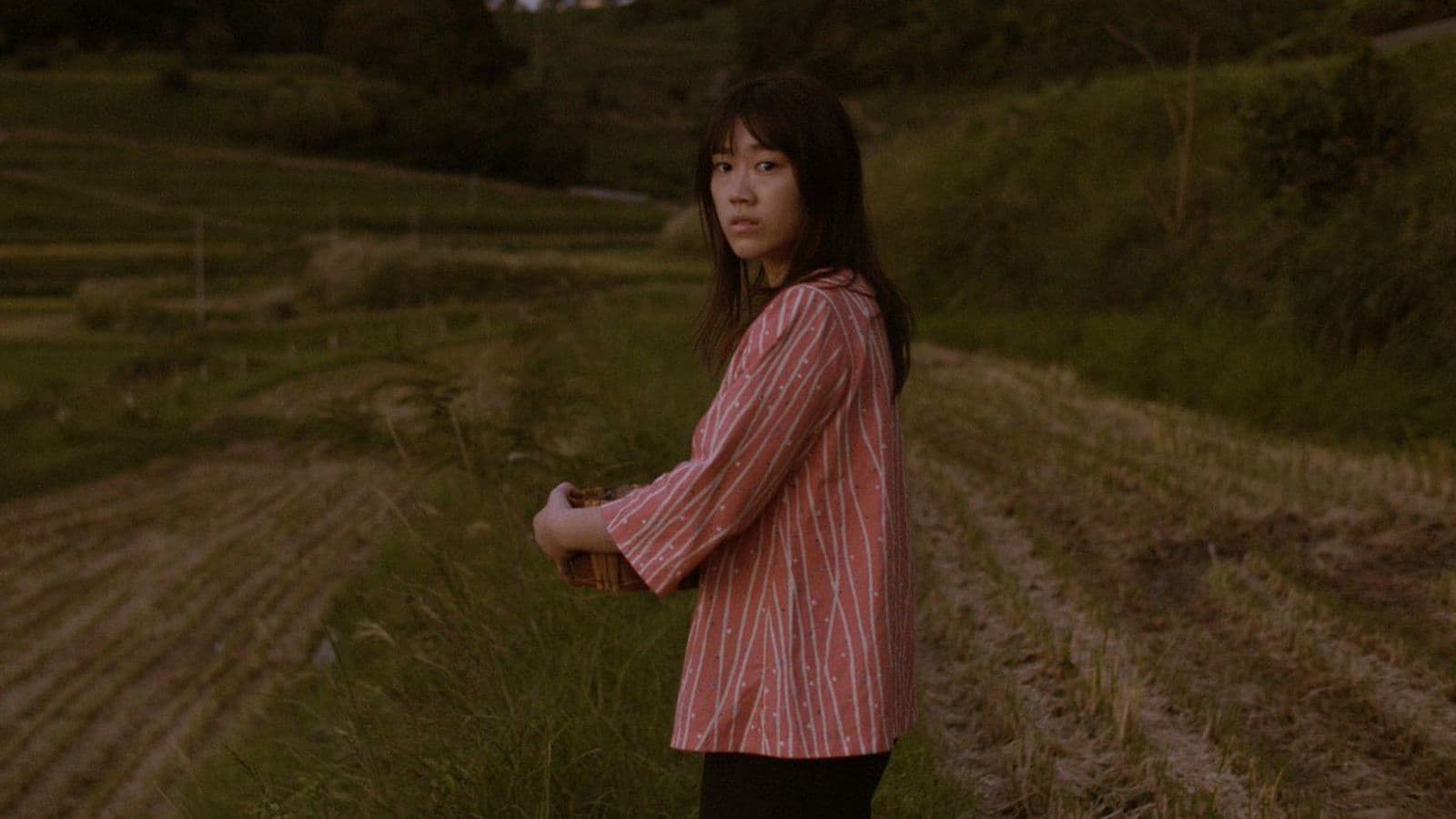 Poster backdrop for The Rain’s Ark