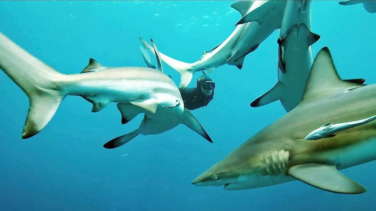 Poster backdrop for Revolution