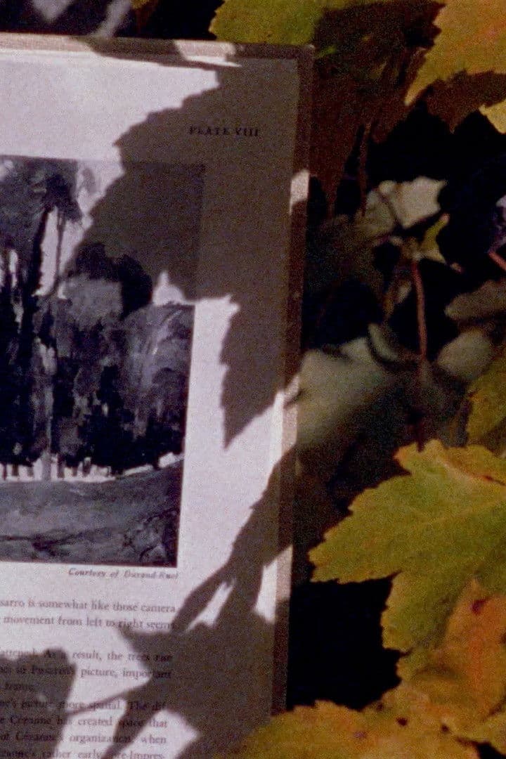 Poster backdrop for Four Shadows