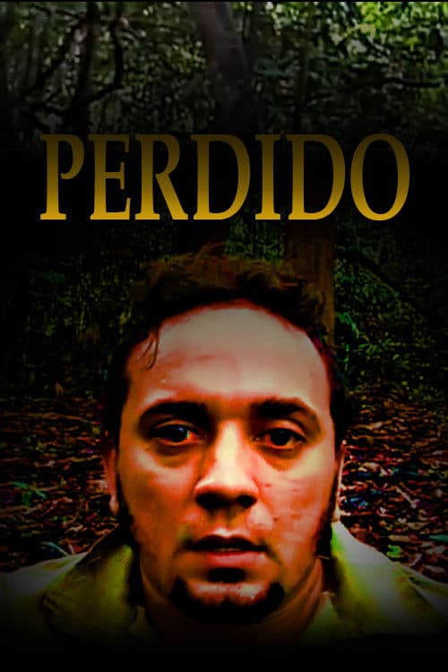 Poster backdrop for Perdido