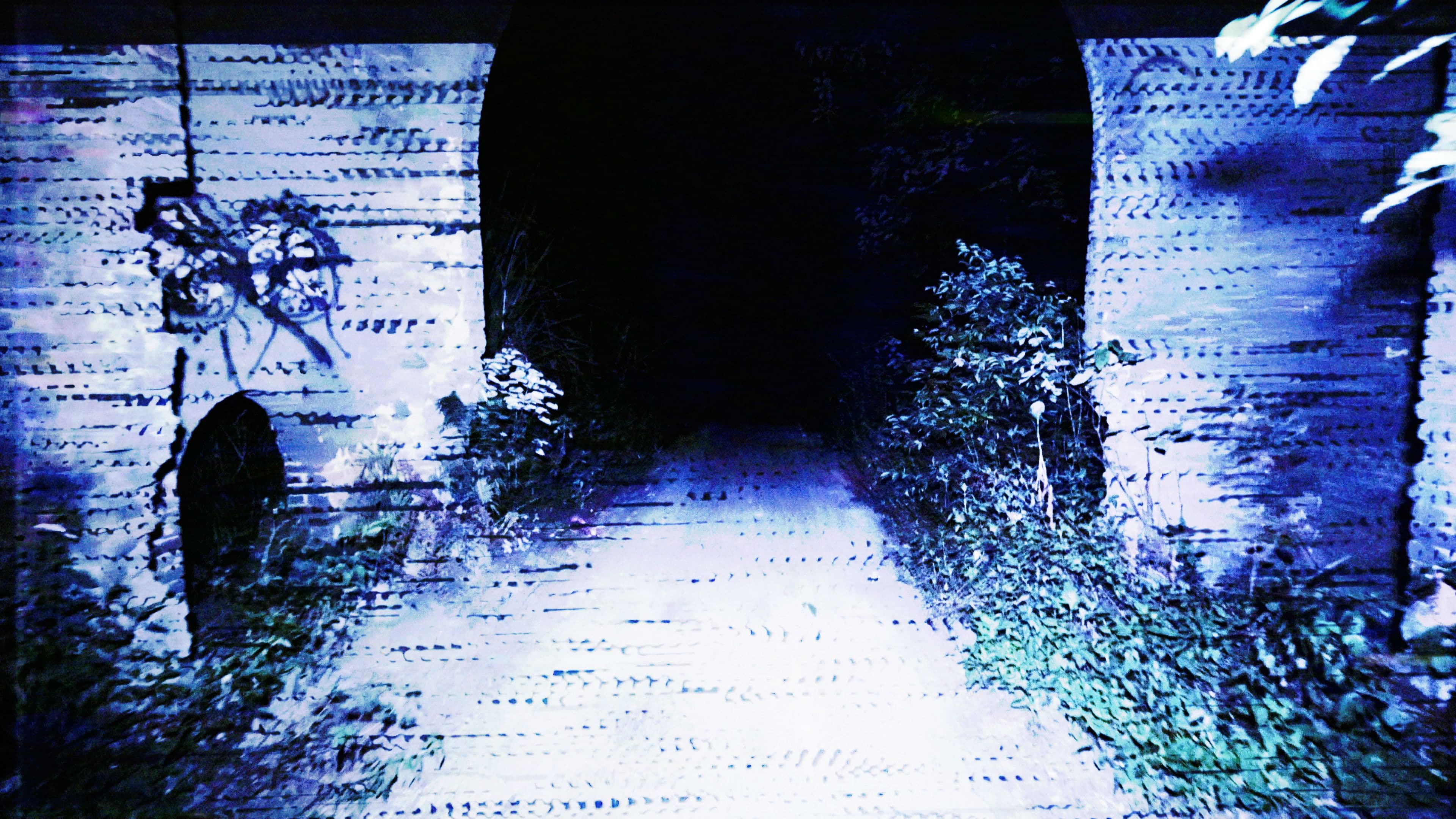 Poster backdrop for Transmission