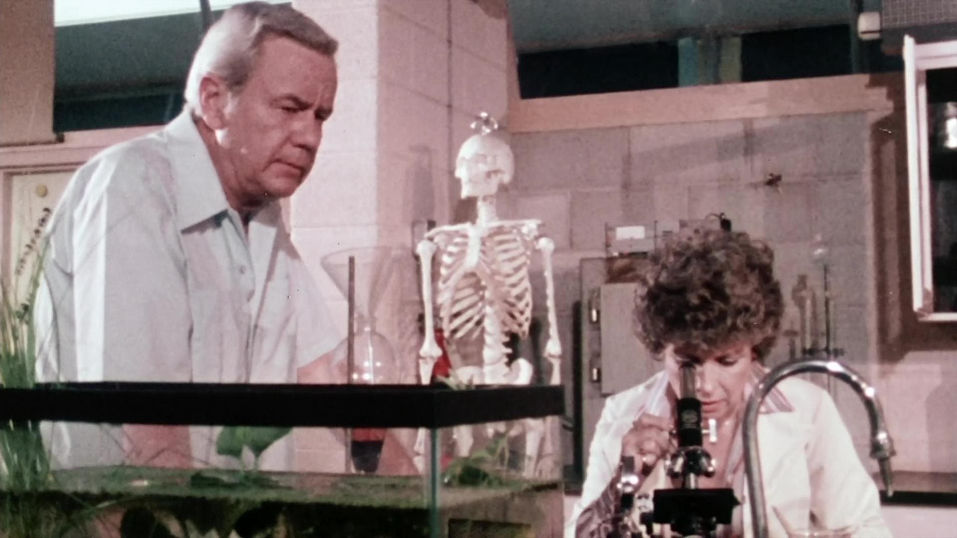 Poster backdrop for Bog